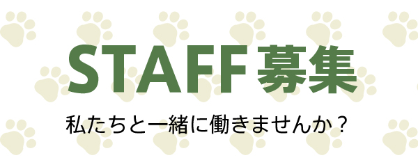 スタッフ募集